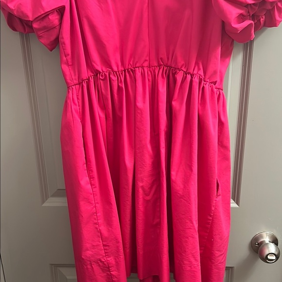 Express Bold Pink Ruffle Dress - Picture 6 of 6